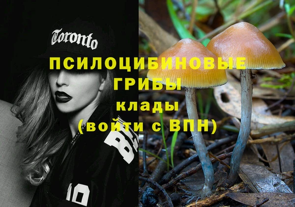 эйфоретик Богданович