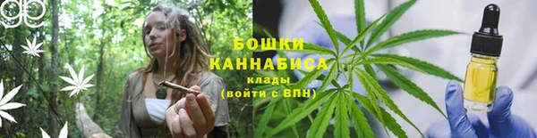 эйфоретик Богданович