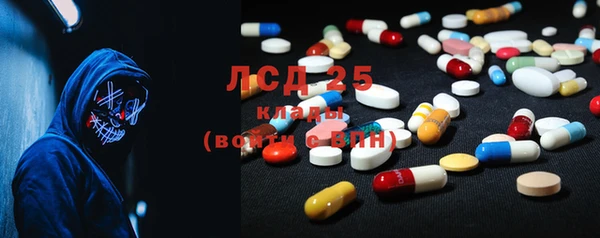 spice Бородино