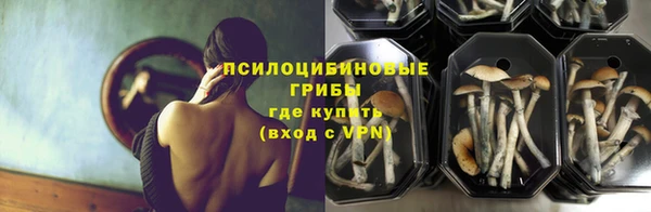 бошки Верея
