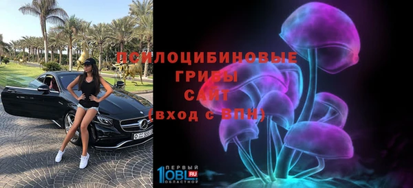ECSTASY Верхний Тагил