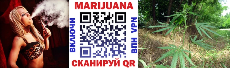 Купить  Берёзовка  Бошки Шишки ГИДРОПОН 